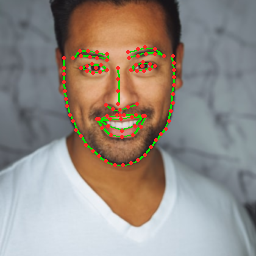 RTMPose-Face — 98-point WFLW face mesh on-device LiteRT GPU